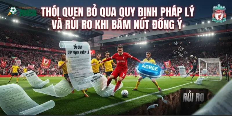 Thói quen bỏ qua quy định pháp lý và rủi ro khi bấm nút đồng ý
